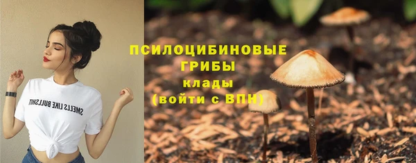 каннабис Алексеевка