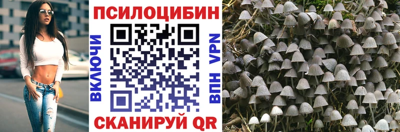 Псилоцибиновые грибы GOLDEN TEACHER  где купить наркоту  Советский 