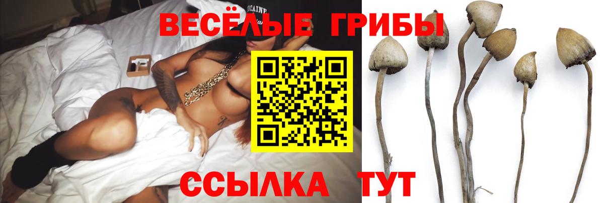 Псилоцибиновые грибы MAGIC MUSHROOMS  Псилоцибиновые грибы прущие грибы  Вход с VPN  где купить наркотик  Советский 