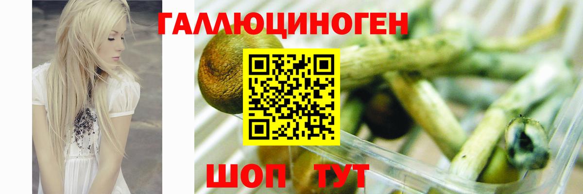 Галлюциногенные грибы прущие грибы Советский