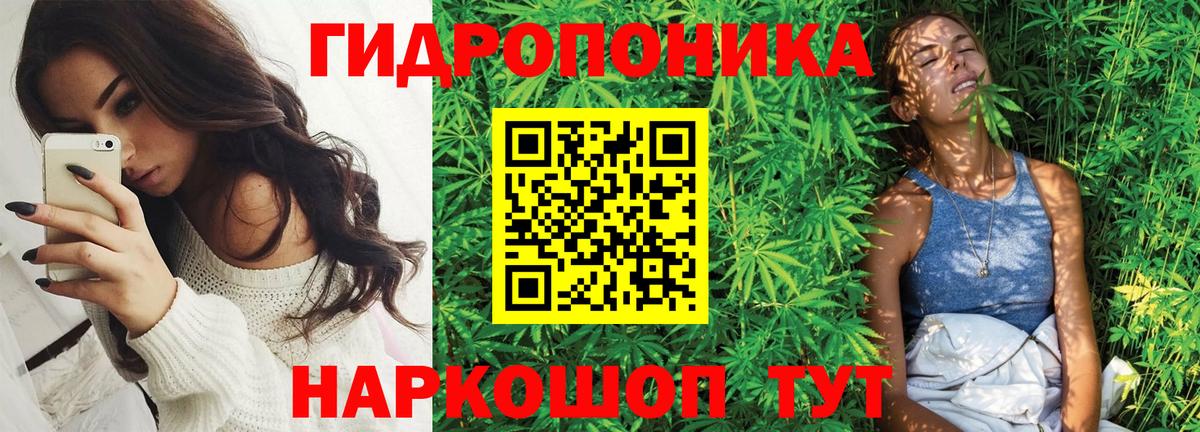 Бошки Шишки SATIVA & INDICA Советский